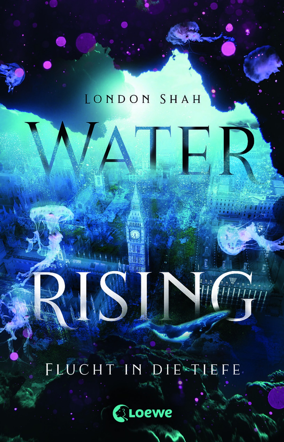 Buch-Tipp "Water rising"